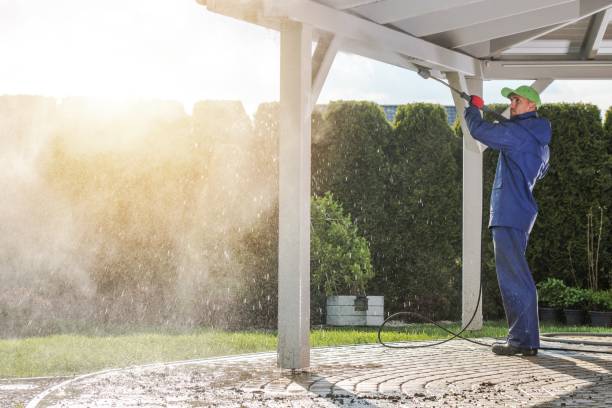Best Roof Washing  in Mars Hill, NC