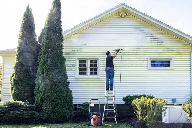 Best Dumpster Area Cleaning  in Mars Hill, NC